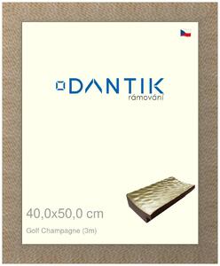 DANTIK rám na obraz 40x50 | Golf champagne (Sklo Čiré)