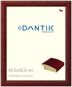 DANTIK rám na obraz 40x50 | LEDVINKA vínová (Sklo Čiré)