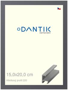 DANTIK rám na obraz 15x20 | ALU Ocelová (Sklo Čiré)