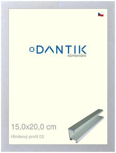 DANTIK rám na obraz 15x20 | ALU Stříbrná matná (Sklo Čiré)