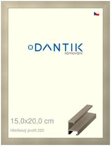 DANTIK rám na obraz 15x20 | ALU champagne (Sklo Čiré)