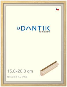 DANTIK rám na obraz 15x20 | NINA bílá AUlinka (Sklo Čiré)