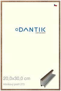 DANTIK rám na obraz 20x30 | ALU Dýha wenge (Sklo Čiré)