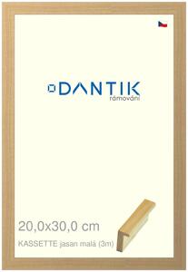 DANTIK rám na obraz 20x30 | KASSETTE jasan malá (Sklo Čiré)