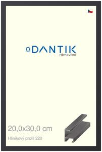 DANTIK rám na obraz 20x30 | ALU Černá matná (Sklo Čiré)