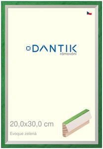 DANTIK rám na obraz 20x30 | EVOQUE zelená (Sklo Čiré)