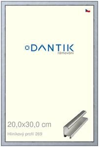 DANTIK rám na obraz 20x30 | ALU Sstříbrná broušená (Sklo Čiré)