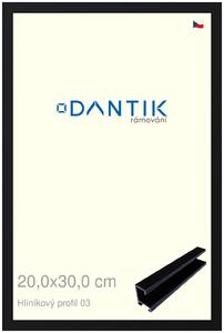 DANTIK rám na obraz 20x30 | ALU Černá Florentinská (Sklo Čiré)
