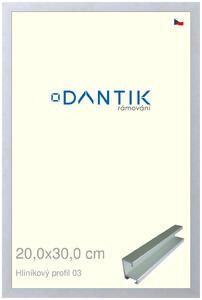 DANTIK rám na obraz 20x30 | ALU Stříbrná matná (Sklo Čiré)