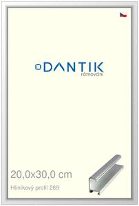 DANTIK rám na obraz 20x30 | ALU Stříbrná lesklá (Sklo Čiré)