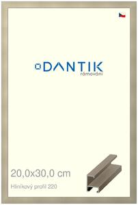 DANTIK rám na obraz 20x30 | ALU champagne (Sklo Čiré)