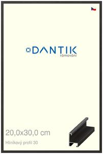 DANTIK rám na obraz 20x30 | ALU Dýha černá (Sklo Čiré)