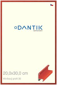 DANTIK rám na obraz 20x30 | ALU Dýha barevná červená třešeň (Sklo Čiré)