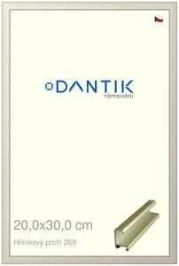 DANTIK rám na obraz 20x30 | ALU zlatá matná (Sklo Čiré)