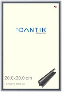 DANTIK rám na obraz 20x30 | ALU Platina matná (Sklo Čiré)