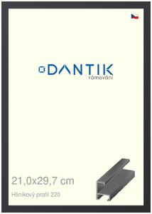 DANTIK rám na obraz 21x29,7 | ALU Černá matná (Sklo Čiré)