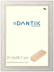 DANTIK rám na obraz 21x29,7 | ANDRE Bílá střední (Sklo Čiré)