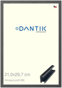 DANTIK rám na obraz 21x29,7 | ALU Šedá Oplal broušená (Sklo Čiré)
