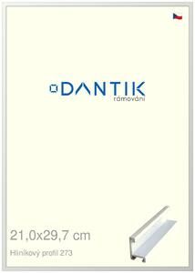 DANTIK rám na obraz 21x29,7 | ALU Bílá matná (Sklo Čiré)