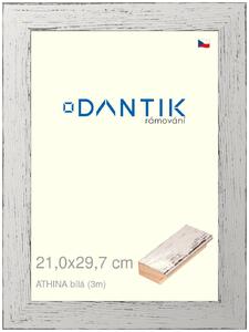 DANTIK rám na obraz 21x29,7 | ATHINA Bílá (Sklo Čiré)