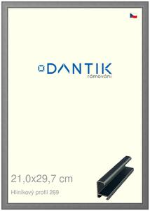 DANTIK rám na obraz 21x29,7 | ALU Platina matná (Sklo Čiré)