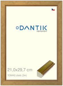 DANTIK rám na obraz 21x29,7 | TOMAS zlatá (Sklo Čiré)