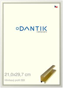 DANTIK rám na obraz 21x29,7 | ALU Zlatá lesklá (Sklo Čiré)