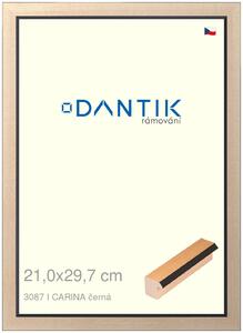 DANTIK rám na obraz 21x29,7 | CARINA černá (Sklo Čiré)