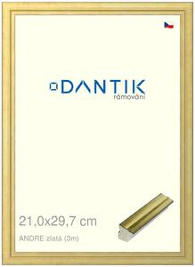 DANTIK rám na obraz 21x29,7 | ANDRE zlatá (Sklo Čiré)