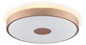 Brilliant - LED stropné svietidlo TAVIS LED/24W/230V pr. 44,5 cm ružové zlato