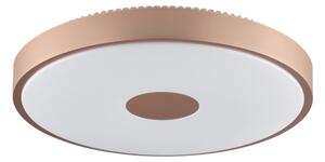 Brilliant - LED stropné svietidlo TAVIS LED/24W/230V pr. 44,5 cm ružové zlato