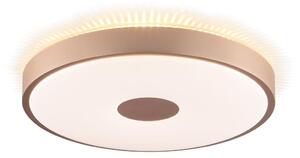 Brilliant - LED stropné svietidlo TAVIS LED/24W/230V pr. 44,5 cm ružové zlato