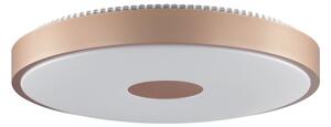Brilliant - LED stropné svietidlo TAVIS LED/24W/230V pr. 44,5 cm ružové zlato