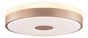 Brilliant - LED stropné svietidlo TAVIS LED/24W/230V pr. 44,5 cm ružové zlato