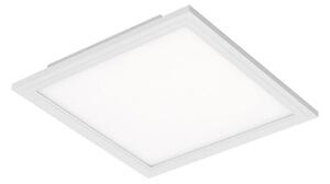 Briloner 7191-016 - LED Stropné svietidlo SIMPLE LED/12W/230V
