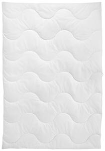 LETNÁ PRIKRÝVKA, 135/200 cm, polyester Sleeptex - Prikrývky & vankúše, Online Only
