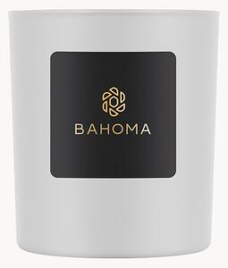 Vonná sviečka's jedným knôtom Bahoma London (Magnolia, Peony)