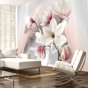 Fototapeta biela magnólia - White magnolias