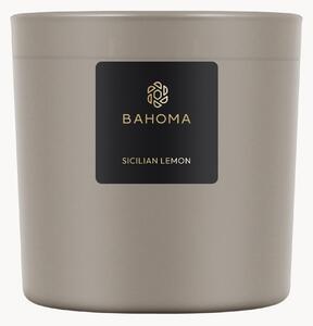 Sviečka's jedným knôtom Ash (Sicilian Lemon)