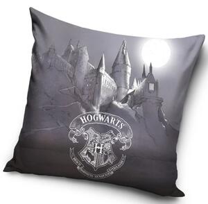 Detský vankúšik Harry Potter Rokfortské Tajomstvo 40x40 cm