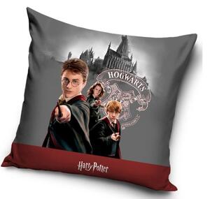 Detský vankúšik Harry Potter Kúzelnícka Škola 40x40 cm