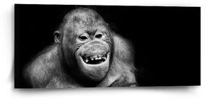 Sablio Obraz Orangután - 110x50 cm