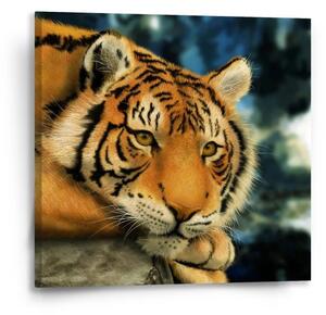 Sablio Obraz tiger - 50x50 cm
