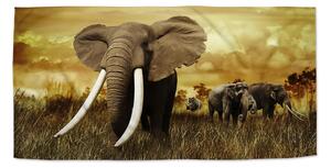 Sablio Uterák Slon Africký - 30x50 cm