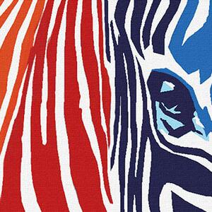 Ručne maľovaný POP Art obraz COLOURS zebra (POP ART obrazy)