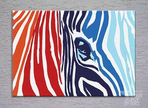 Ručne maľovaný POP Art obraz COLOURS zebra (POP ART obrazy)