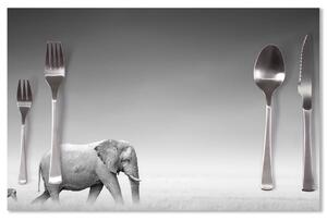 Sablio Prestieranie Slon a zebra: 40x30cm