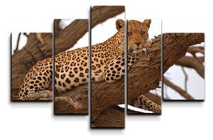 Sablio Obraz - 5-dílný Leopard 2 - 125x90 cm