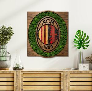 Obraz Moss HDF - AC Milan