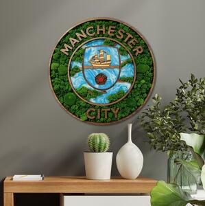 Machový HDF obraz - Manchester City